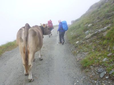 003-Unterwegs im nebelverhangenen Verwall